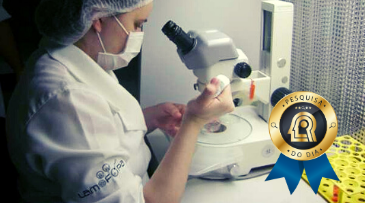 UECE realiza primeira gestação em caprino do mundo com ovário artificial
