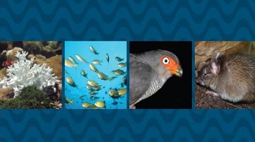 Brasil e Alemanha articulam cooperação em biodiversidade