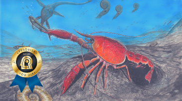 Pesquisadores anunciam novo fóssil de lagostim da Antártica